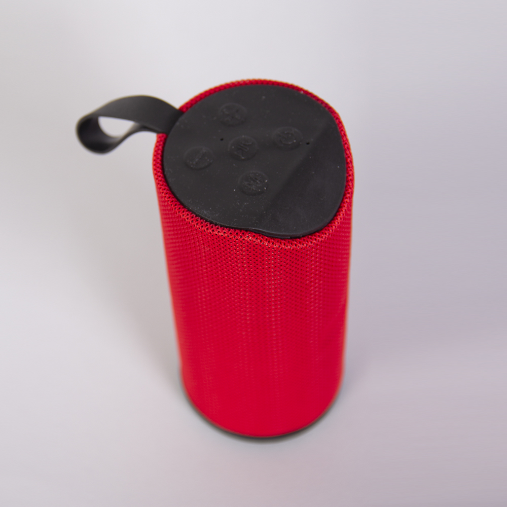 اسپیکر Portable مدل 113